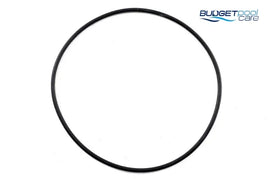 O-RING MONARCH P'PLUS P/LID - Budget Pool Care