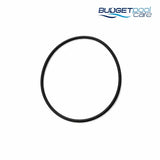 O-RING POOLRITE MPV COVER