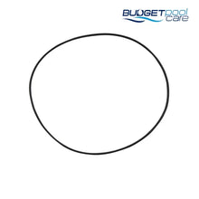 Load image into Gallery viewer, O-RING PUMP BODY FINS S1226911 - Budget Pool Care