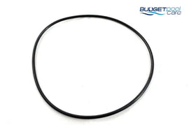 O-RING PUMP LID MON/SPRI/FM N/ - Budget Pool Care