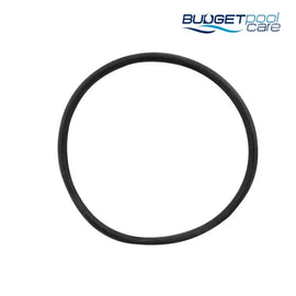 O-RING PUMP LID ONGA400/600/90 - Budget Pool Care