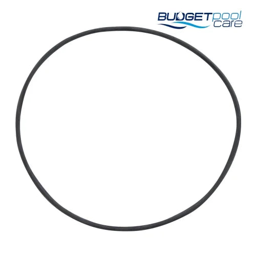 O-RING STA RITE DE FILTER TANK - Budget Pool Care