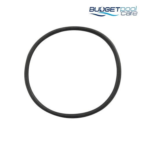 O-RING PUMP LID DURA II FPI CH - Budget Pool Care