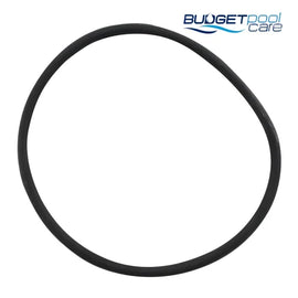 Quiptron Cartridge Filter Tank O'Ring - Budget Pool Care