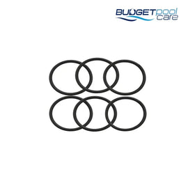 O-RING PLUMBING PACK FILTRITE(6) - Budget Pool Care