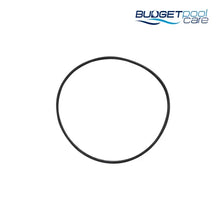 Load image into Gallery viewer, O-RING SWIMCLEAR FILTER HEAD - Budget Pool Care