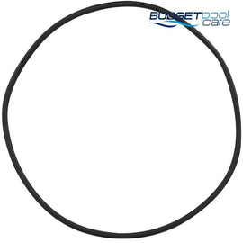 O-RING TANK FILTRITE 2000/D305 - Budget Pool Care