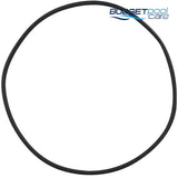 O RING TANK FILTRITE 2000/D305