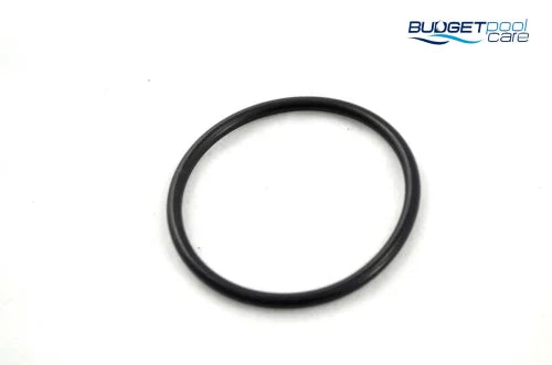 O-RING UNION P450 N/S - Budget Pool Care