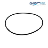O Ring Volute