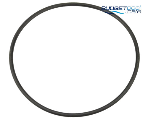 Onga 200 Series Pump Casing O Ring
