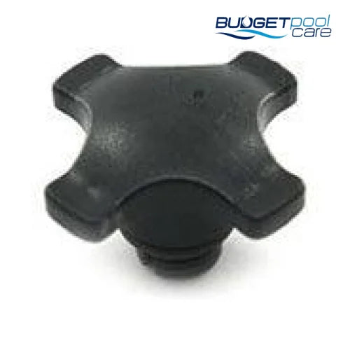Onga Air release with O ring - Budget Pool Care