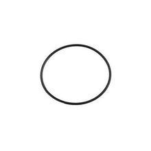 Load image into Gallery viewer, Onga Leisuretime LTP 400/550/750/1100 O Ring Swivel B/Union 702193