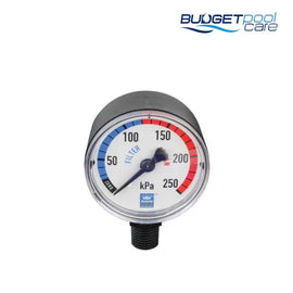 P/GAUGE A/GOLD PLASTIC L/M - Budget Pool Care