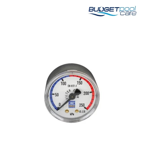 P/GAUGE A/GOLD S/STEEL CBM - Budget Pool Care