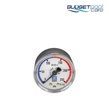 Load image into Gallery viewer, P/GAUGE A/GOLD S/STEEL CBM - Budget Pool Care