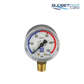 P/GAUGE A/GOLD S/STEEL L/M - Budget Pool Care