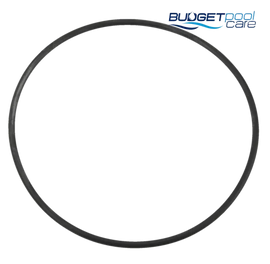 Pentair Onga Leisuretime Ii / Lsfii Filter Neck Oring Default