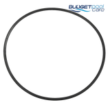 Pentair Onga Leisuretime II / LSFII Filter Neck O'Ring
