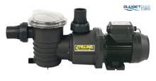 Load image into Gallery viewer, Poolrite Enduro EP-1100 Pool Pump - 1.5 HP - Budget Pool Care