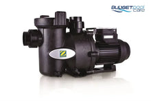 Load image into Gallery viewer, Pump Flopro 2Hp Pumps - Zodiac