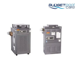 Raypak Premium Pool Gas Heaters - Budget Pool Care