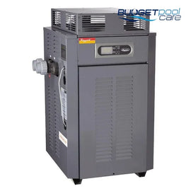 Raypak Residential Pool Gas Heaters - Budget Pool Care