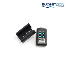 REMOTE CONTROL 2 CHANNEL - Budget Pool Care