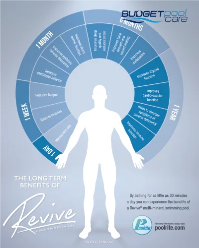 Revive - Balanced Multi-Mineral Formula Minerals