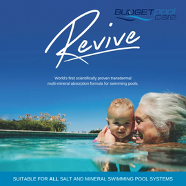 Revive - Balanced Multi-Mineral Formula Minerals