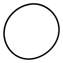 Load image into Gallery viewer, O-Ring for Pool Controls SWC Cell Housing Chlorinator