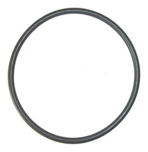 Load image into Gallery viewer, Pump lid O-Ring to suite Astral Maxium Commercial pump