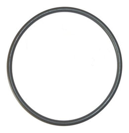 Pump lid O-Ring to suite Astral Maxium Commercial pump