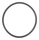 Pump lid O-Ring to suite Astral Maxium Commercial pump