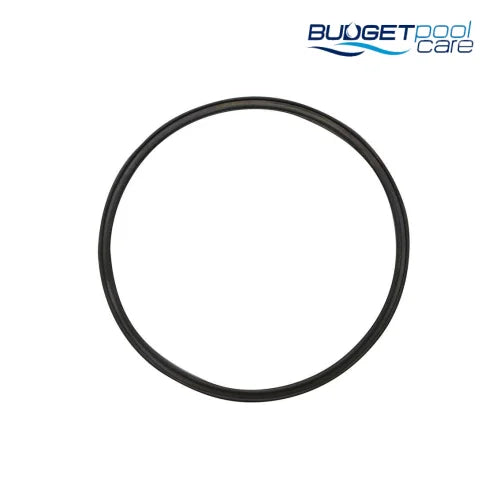 SEAL CYCLONIC - Budget Pool Care