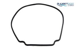 SEAL PLATE / O-RING OLD STYLE HURLCON - Budget Pool Care