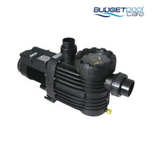 Load image into Gallery viewer, Speck Super 90 Pool Pump - Budget Pool Care