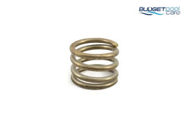 SPRING QUIPTRON MPV VALVE - Budget Pool Care