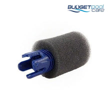 Load image into Gallery viewer, TailSweep PRo (3900s/380/360/280/180) - Budget Pool Care