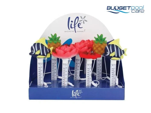 THERMOMETERS FUN DESIGN DIS9 - Budget Pool Care