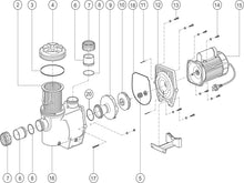 Load image into Gallery viewer, Hurlcon Pump Body Square Seal for Seal Plate - Pre 2014
