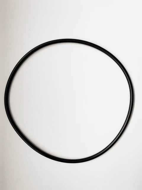 Waterco Opal Cartridge Filter Lid Oring 620271