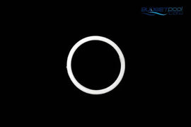 O-RING (2) HURLCON MPV SHAFT - Budget Pool Care