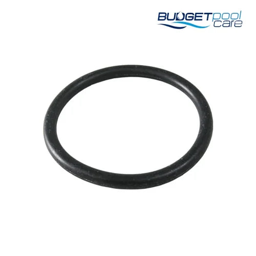 Waterco 50mm Oring - Budget Pool Care