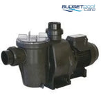 Waterco Hydrostorm 100 Pool Pump   1.0 HP