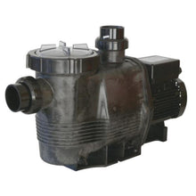 Load image into Gallery viewer, Waterco Hydrostorm Plus 250 pump