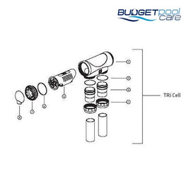 Zodiac TRi Barrel Union O Ring (2 Pack) - Budget Pool Care
