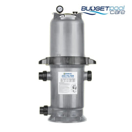 Zodiac Zxc 100 Cartridge Filter Default
