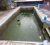 Green Pool Cleaning Service